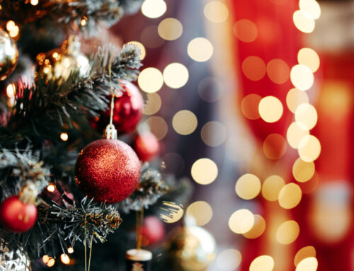 Princeton’s Holiday Lights Tour: The Best Neighborhoods to Visit